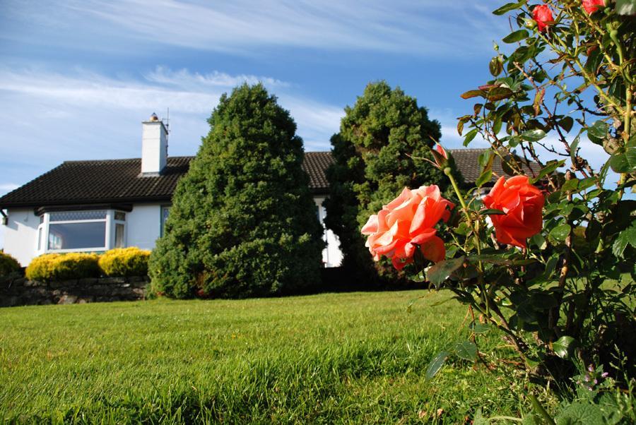 Castle View B&B Freshford Esterno foto
